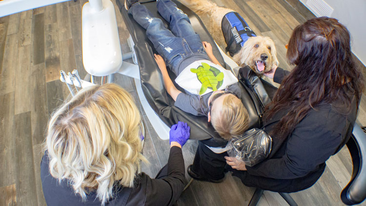 Bailey, Dental Therapy Dog